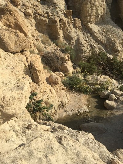 Mŕtve more a Masada — fotografia z výletu