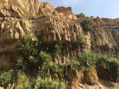 Mŕtve more a Masada — fotografia z výletu
